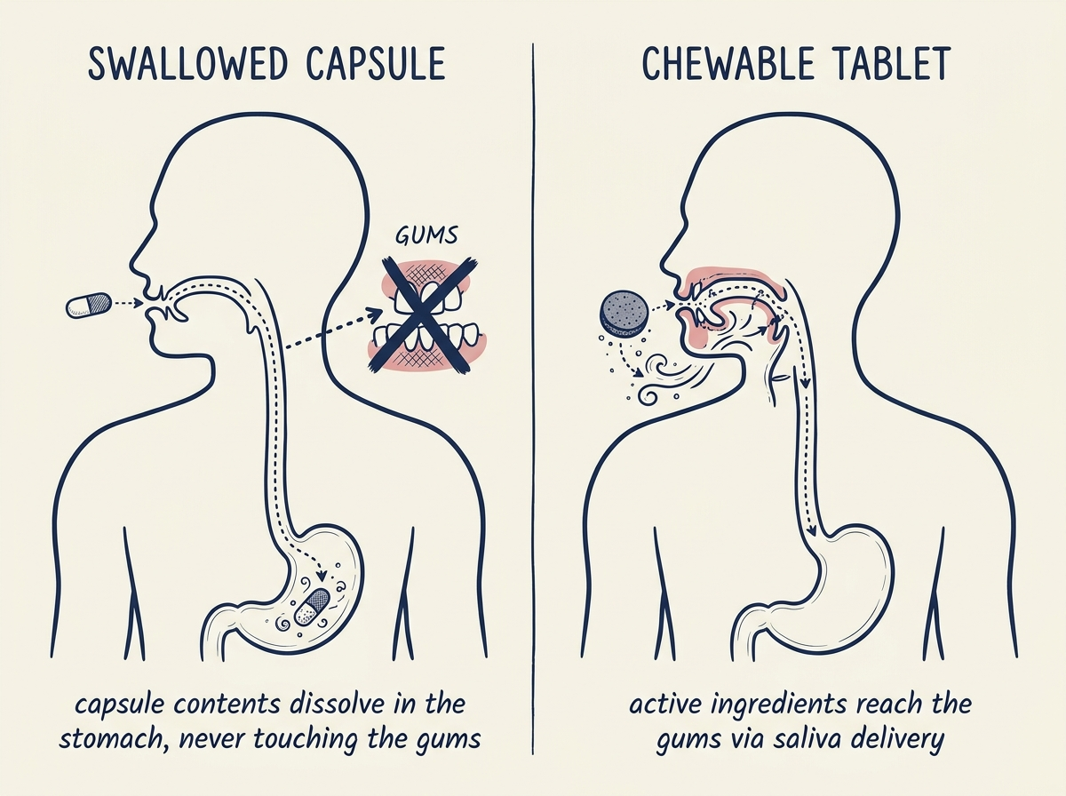 Comparison of a swallowed probiotic capsule versus a chewable tablet that releases in the mouth